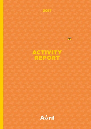 ACTIVITY
REPORT
2017
 