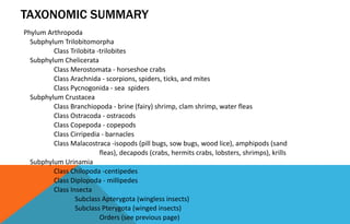 TAXONOMIC SUMMARY
Phylum Arthropoda
Subphylum Trilobitomorpha
Class Trilobita -trilobites
Subphylum Chelicerata
Class Merostomata - horseshoe crabs
Class Arachnida - scorpions, spiders, ticks, and mites
Class Pycnogonida - sea spiders
Subphylum Crustacea
Class Branchiopoda - brine (fairy) shrimp, clam shrimp, water fleas
Class Ostracoda - ostracods
Class Copepoda - copepods
Class Cirripedia - barnacles
Class Malacostraca -isopods (pill bugs, sow bugs, wood lice), amphipods (sand
fleas), decapods (crabs, hermits crabs, lobsters, shrimps), krills
Subphylum Urinamia
Class Chilopoda -centipedes
Class Diplopoda - millipedes
Class Insecta
Subclass Apterygota (wingless insects)
Subclass Pterygota (winged insects)
Orders (see previous page)
 