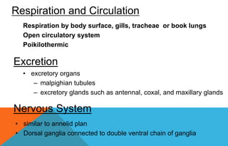 Respiration by body surface, gills, tracheae or book lungs
Open circulatory system
Poikilothermic
Respiration and Circulation
• excretory organs
– malpighian tubules
– excretory glands such as antennal, coxal, and maxillary glands
Excretion
Nervous System
• similar to annelid plan
• Dorsal ganglia connected to double ventral chain of ganglia
 