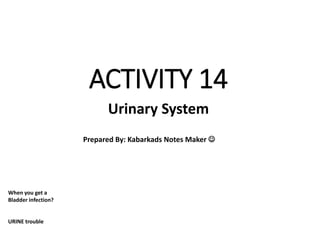 ACTIVITY 14
Urinary System
Prepared By: Kabarkads Notes Maker 
When you get a
Bladder infection?
URINE trouble
 