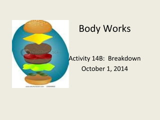 Body Works 
Activity 14B: Breakdown 
October 1, 2014 
 