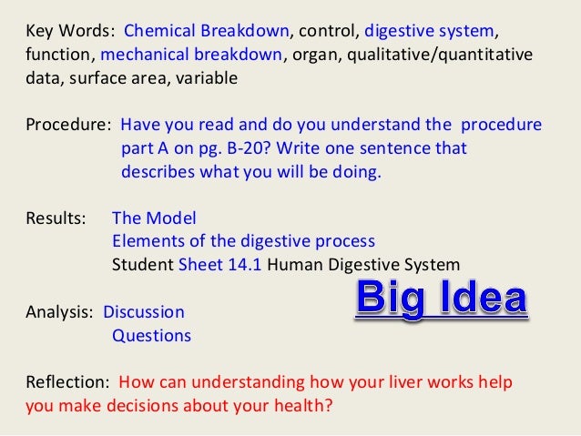 human digestive system essay example The digestive system the digestive system is made up of the digestive tract—a series of hollow organs joined in a long carbohydrates, for example. human digestive system essay example The digestive system the digestive system is made up of the digestive tract—a series of hollow organs joined in a long carbohydrates, for example.