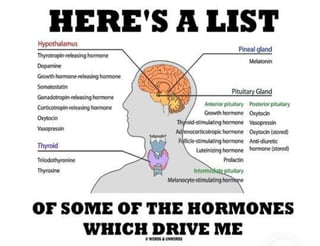 Endocrine System