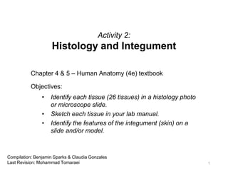 Activity 2:
Histology and Integument
Chapter 4 & 5 – Human Anatomy (4e) textbook
Objectives:
• Identify each tissue (26 tissues) in a histology photo
or microscope slide.
• Sketch each tissue in your lab manual.
• Identify the features of the integument (skin) on a
slide and/or model.
1
Compilation: Benjamin Sparks & Claudia Gonzales
Last Revision: Mohammad Tomaraei
 