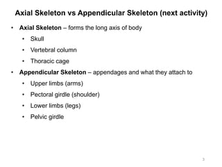 Axial Skeleton vs Appendicular Skeleton (next activity)
3
• Axial Skeleton – forms the long axis of body
• Skull
• Vertebral column
• Thoracic cage
• Appendicular Skeleton – appendages and what they attach to
• Upper limbs (arms)
• Pectoral girdle (shoulder)
• Lower limbs (legs)
• Pelvic girdle
 