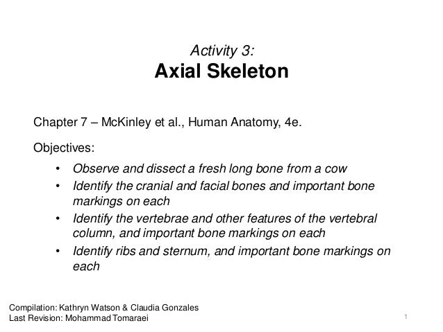 Activity 3 - Axial Skeleton