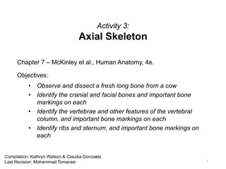 Activity 3:
Axial Skeleton
Chapter 7 – McKinley et al., Human Anatomy, 4e.
Objectives:
• Observe and dissect a fresh long bone from a cow
• Identify the cranial and facial bones and important bone
markings on each
• Identify the vertebrae and other features of the vertebral
column, and important bone markings on each
• Identify ribs and sternum, and important bone markings on
each
1
Compilation: Kathryn Watson & Claudia Gonzales
Last Revision: Mohammad Tomaraei
 