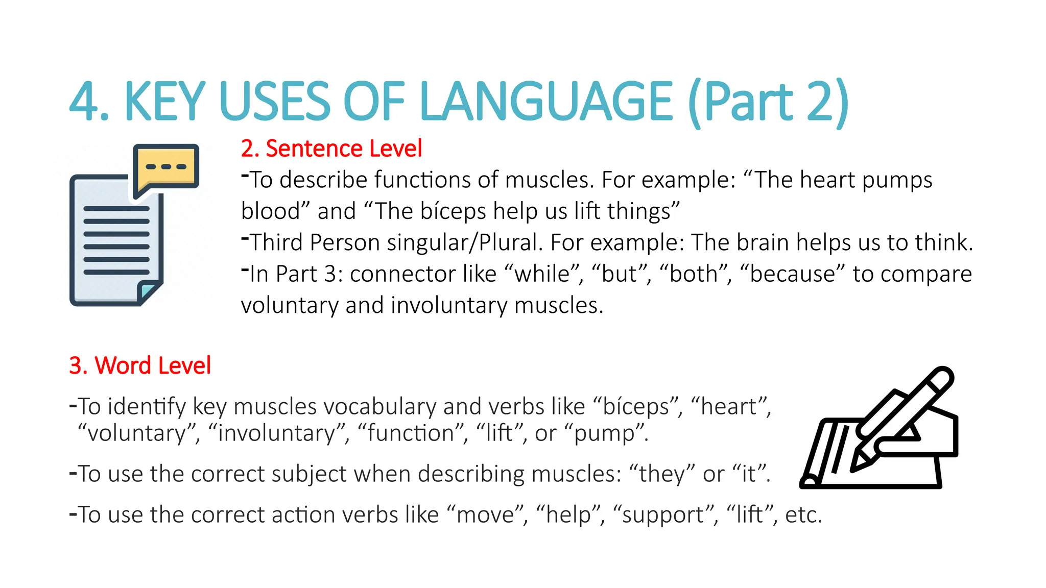 4. KEY USES OF LANGUAGE (Part 2)
3. Word Level
-To identify key muscles vocabulary and verbs like “bíceps”, “heart”,
“voluntary”, “involuntary”, “function”, “lift”, or “pump”.
-To use the correct subject when describing muscles: “they” or “it”.
-To use the correct action verbs like “move”, “help”, “support”, “lift”, etc.
2. Sentence Level
-To describe functions of muscles. For example: “The heart pumps
blood” and “The bíceps help us lift things”
-Third Person singular/Plural. For example: The brain helps us to think.
-In Part 3: connector like “while”, “but”, “both”, “because” to compare
voluntary and involuntary muscles.
 