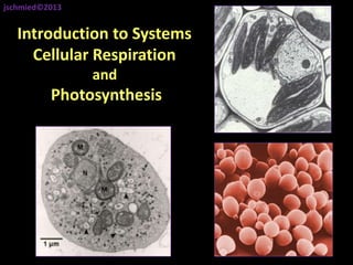 Introduction to Systems
Cellular Respiration
and
Photosynthesis
jschmied©2013
 