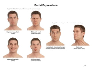 Facial Expressions
104
 