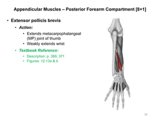 Appendicular Muscles – Posterior Forearm Compartment [8+1]
• Extensor pollicis brevis
• Action:
• Extends metacarpophalangeal
(MP) joint of thumb
• Weakly extends wrist
• Textbook Reference:
• Description: p. 369, 371
• Figures: 12.13a & b
34
 