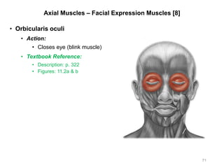 Axial Muscles – Facial Expression Muscles [8]
• Orbicularis oculi
• Action:
• Closes eye (blink muscle)
• Textbook Reference:
• Description: p. 322
• Figures: 11.2a & b
71
 