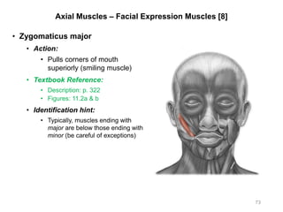 Axial Muscles – Facial Expression Muscles [8]
• Zygomaticus major
• Action:
• Pulls corners of mouth
superiorly (smiling muscle)
• Textbook Reference:
• Description: p. 322
• Figures: 11.2a & b
• Identification hint:
• Typically, muscles ending with
major are below those ending with
minor (be careful of exceptions)
73
 