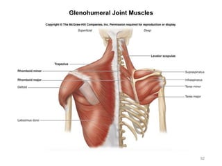 92
Glenohumeral Joint Muscles
 