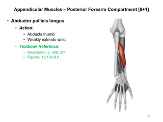Appendicular Muscles – Posterior Forearm Compartment [8+1]
• Abductor pollicis longus
• Action:
• Abducts thumb
• Weakly extends wrist
• Textbook Reference:
• Description: p. 369, 371
• Figures: 12.13a & b
32
 