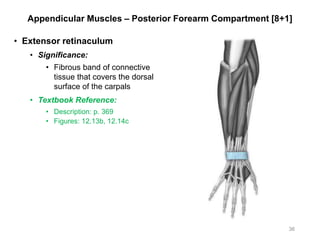 Appendicular Muscles – Posterior Forearm Compartment [8+1]
• Extensor retinaculum
• Significance:
• Fibrous band of connective
tissue that covers the dorsal
surface of the carpals
• Textbook Reference:
• Description: p. 369
• Figures: 12.13b, 12.14c
36
 
