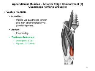 Appendicular Muscles – Anterior Thigh Compartment [5]
Quadriceps Femoris Group [4]
• Vastus medialis
• Insertion:
• Patella via quadriceps tendon
and then tibial tuberosity via
patellar ligament
• Action:
• Extends leg
• Textbook Reference:
• Description: p. 381
• Figures: 12.17a & b
39
 