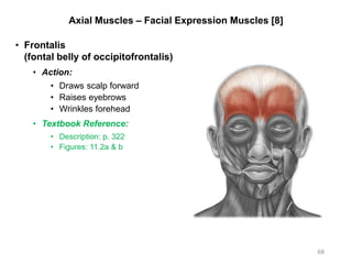 Axial Muscles – Facial Expression Muscles [8]
• Frontalis
(fontal belly of occipitofrontalis)
• Action:
• Draws scalp forward
• Raises eyebrows
• Wrinkles forehead
• Textbook Reference:
• Description: p. 322
• Figures: 11.2a & b
68
 