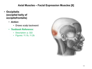 Axial Muscles – Facial Expression Muscles [8]
• Occipitalis
(occipital belly of
occipitofrontalis)
• Action:
• Draws scalp backward
• Textbook Reference:
• Description: p. 322
• Figures: 11.1b, 11.2b
69
 
