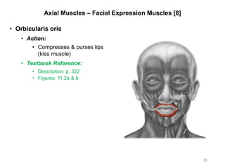 Axial Muscles – Facial Expression Muscles [8]
• Orbicularis oris
• Action:
• Compresses & purses lips
(kiss muscle)
• Textbook Reference:
• Description: p. 322
• Figures: 11.2a & b
70
 