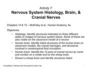 Activity 7:
Nervous System Histology, Brain, &
Cranial Nerves
Chapters 14 & 15 – McKinley et al., Human Anatomy, 4e.
Objectives:
• Histology: Identify structures indicated on three different
slides or images of nervous system tissue. Some of these are
also visible on the classroom model of a neuron.
• Human brain: Identify listed structures of the human brain on
classroom models, the cranial meninges, and structures
involved in cerebrospinal fluid circulation.
• Human brain: Identify the 12 pairs of cranial nerves by name
and number on a model and on the sheep brain.
• Dissect a sheep brain and identify structures listed.
1Compilation: Mohammad Tomaraei & Cristin Fail
 