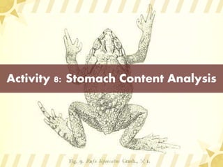 Activity 8: Stomach Content Analysis
 