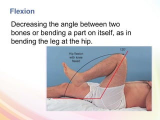 Decreasing the angle between two
bones or bending a part on itself, as in
bending the leg at the hip.
 