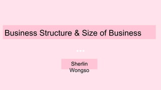 Business Structure & Size of Business
Sherlin
Wongso
 