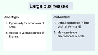 Large businesses
Advantages:
1. Opportunity for economies of
scale
2. Access to various sources of
finance
Disadvantages:
1. Difficult to manage (a long
chain of command)
2. May experience
diseconomies of scale
 