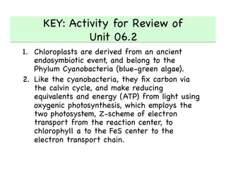 KEY: Activity for Review of 
Unit 06.2 

1.  Chloroplasts are derived from an ancient
endosymbiotic event, and belong to the
Phylum Cyanobacteria (blue-green algae). 

2.  Like the cyanobacteria, they ﬁx carbon via
the calvin cycle, and make reducing
equivalents and energy (ATP) from light using
oxygenic photosynthesis, which employs the
two photosystem, Z-scheme of electron
transport from the reaction center, to
chlorophyll a to the FeS center to the
electron transport chain. 

 