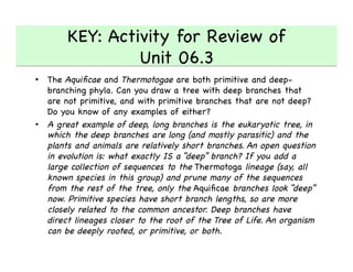 KEY: Activity for Review of 
Unit 06.3 

•  The Aquiﬁcae and Thermotogae are both primitive and deep-
branching phyla. Can you draw a tree with deep branches that
are not primitive, and with primitive branches that are not deep?
Do you know of any examples of either? 

•  A great example of deep, long branches is the eukaryotic tree, in
which the deep branches are long (and mostly parasitic) and the
plants and animals are relatively short branches. An open question
in evolution is: what exactly IS a “deep” branch? If you add a
large collection of sequences to the Thermotoga lineage (say, all
known species in this group) and prune many of the sequences
from the rest of the tree, only the Aquiﬁcae branches look “deep”
now. Primitive species have short branch lengths, so are more
closely related to the common ancestor. Deep branches have
direct lineages closer to the root of the Tree of Life. An organism
can be deeply rooted, or primitive, or both. 

 