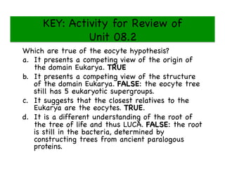 KEY: Activity for Review of 
Unit 08.2 

Which are true of the eocyte hypothesis?

a.  It presents a competing view of the origin of
the domain Eukarya. TRUE

b.  It presents a competing view of the structure
of the domain Eukarya. FALSE: the eocyte tree
still has 5 eukaryotic supergroups.

c.  It suggests that the closest relatives to the
Eukarya are the eocytes. TRUE.

d.  It is a different understanding of the root of
the tree of life and thus LUCA. FALSE: the root
is still in the bacteria, determined by
constructing trees from ancient paralogous
proteins. 

 