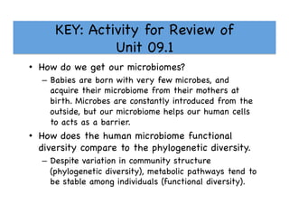 KEY: Activity for Review of 
Unit 09.1 

•  How do we get our microbiomes?

–  Babies are born with very few microbes, and
acquire their microbiome from their mothers at
birth. Microbes are constantly introduced from the
outside, but our microbiome helps our human cells
to acts as a barrier. 

•  How does the human microbiome functional
diversity compare to the phylogenetic diversity. 

–  Despite variation in community structure
(phylogenetic diversity), metabolic pathways tend to
be stable among individuals (functional diversity).

 