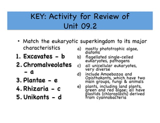 KEY: Activity for Review of 
Unit 09.2 

•  Match the eukaryotic superkingdom to its major
characteristics

1.  Excavates - b

2.  Chromalveolates
- a

3.  Plantae - e

4.  Rhizaria - c

5.  Unikonts - d

a)  mostly phototrophic algae,
diatoms

b)  ﬂagellated single-celled
eukaryotes, pathogens

c)  all unicellular eukaryotes,
very diverse

d)  include Amoebozoa and
Opisthokonts, which have two
main groups, fungi  animals

e)  plants, including land plants,
green and red algae; all have
plastids (chloroplasts) derived
from cyannobacteria

 