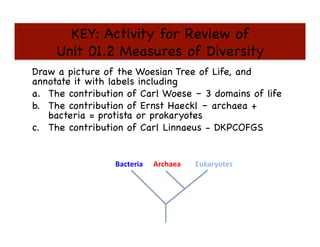 KEY: Activity for Review of 
Unit 01.2 Measures of Diversity

Draw a picture of the Woesian Tree of Life, and
annotate it with labels including

a.  The contribution of Carl Woese – 3 domains of life

b.  The contribution of Ernst Haeckl – archaea +
bacteria = protista or prokaryotes

c.  The contribution of Carl Linnaeus - DKPCOFGS





Bacteria	
   Archaea	
   Eukaryotes	
  
 