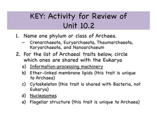 KEY: Activity for Review of 
Unit 10.2 

1.  Name one phylum or class of Archaea. 

–  Crenarchaeota, Euryarchaeota, Thaumarchaeota,
Koryarchaeota, and Nanoarchaeum

2.  For the list of Archaeal traits below, circle
which ones are shared with the Eukarya

a)  Information-processing machinery 

b)  Ether-linked membrane lipids (this trait is unique
to Archaea)

c)  Cytoskeleton (this trait is shared with Bacteria, not
Eukarya)

d)  Nucleosomes

e)  Flagellar structure (this trait is unique to Archaea)

 