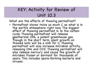 KEY: Activity for Review of 
Unit 10.3 

What are the effects of thawing permafrost?

•  Permafrost stores twice as much C as what is in
the earth’s atmosphere right now. The biggest
effect of thawing permafrost is to the carbon
cycle. Thawing permafrost will release
geothermal CH4, a potent greenhouse gas.
Though in the short term, plant growth on
thawed soils will be a sink for C, thawing
permafrost will also increase microbial activity,
releasing CH4 and CO2. Thawing permafrost will
also release mercury and cause the growth of
microbes frozen or dormant for thousands of
years. This includes spore-forming bacteria and
viruses. 

 