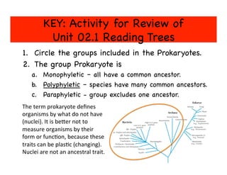 KEY: Activity for Review of 
Unit 02.1 Reading Trees

1.  Circle the groups included in the Prokaryotes.

2.  The group Prokaryote is

a.  Monophyletic – all have a common ancestor.

b.  Polyphyletic – species have many common ancestors.

c.  Paraphyletic - group excludes one ancestor.



The	
  term	
  prokaryote	
  deﬁnes	
  
organisms	
  by	
  what	
  do	
  not	
  have	
  
(nuclei).	
  It	
  is	
  be=er	
  not	
  to	
  
measure	
  organisms	
  by	
  their	
  
form	
  or	
  func?on,	
  because	
  these	
  
traits	
  can	
  be	
  plas?c	
  (changing).	
  
Nuclei	
  are	
  not	
  an	
  ancestral	
  trait.	
  
	
  
 