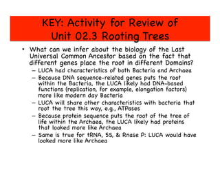 KEY: Activity for Review of 
Unit 02.3 Rooting Trees

•  What can we infer about the biology of the Last
Universal Common Ancestor based on the fact that
different genes place the root in different Domains?

–  LUCA had characteristics of both Bacteria and Archaea

–  Because DNA sequence-related genes puts the root
within the Bacteria, the LUCA likely had DNA-based
functions (replication, for example, elongation factors)
more like modern day Bacteria

–  LUCA will share other characteristics with bacteria that
root the tree this way, e.g., ATPases

–  Because protein sequence puts the root of the tree of
life within the Archaea, the LUCA likely had proteins
that looked more like Archaea

–  Same is true for tRNA, 5S,  Rnase P: LUCA would have
looked more like Archaea

 