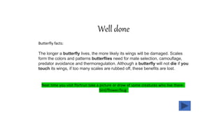 Well done
Butterfly facts:
The longer a butterfly lives, the more likely its wings will be damaged. Scales
form the colors and patterns butterflies need for mate selection, camouflage,
predator avoidance and thermoregulation. Although a butterfly will not die if you
touch its wings, if too many scales are rubbed off, these benefits are lost.
Next time you visit Portrun take a picture or draw of some creatures who live there-
bird/flower/bug
 