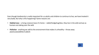 Even though biodiversity is really important for us adults and children to continue to live, we have treated it
very badly. But why is this happening? Some reasons are:
• Habitat Loss – a living creature loses it’s home – rabbit/hedgehog/bee, they live in the wild and we as
humans are taking over the wild
• Pollution - anything we add to the environment that makes it unhealthy – throw away
plastics/weedkiller/rubbish
 