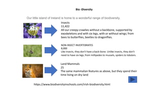 Bio -Diversity
Our little island of Ireland is home to a wonderful range of biodiversity.
Insects
11,422
​All our creepy-crawlies without a backbone, supported by
exoskeletons and with six legs, with or without wings; from
bees to butterflies, beetles to dragonflies.
NON-INSECT INVERTEBRATES
8,000
Like insects, they don't have a back-bone. Unlike insects, they don't
need to have six legs; from millipedes to mussels, spiders to lobsters.
Land Mammals
25
The same mammalian features as above, but they spend their
time living on dry land
https://www.biodiversityinschools.com/irish-biodiversity.html
 