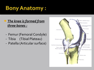  The knee is formed from
three bones :
- Femur (Femoral Condyle)
- Tibia (Tibial Plateau)
- Patella (Articular surface)
 