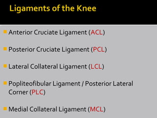  Anterior Cruciate Ligament (ACL)
 Posterior Cruciate Ligament (PCL)
 Lateral Collateral Ligament (LCL)
 Popliteofibular Ligament / Posterior Lateral
Corner (PLC)
 Medial Collateral Ligament (MCL)
 