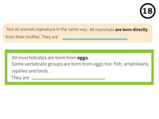 Animal Quiz | PPTX