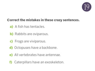 Animal Quiz | PPTX
