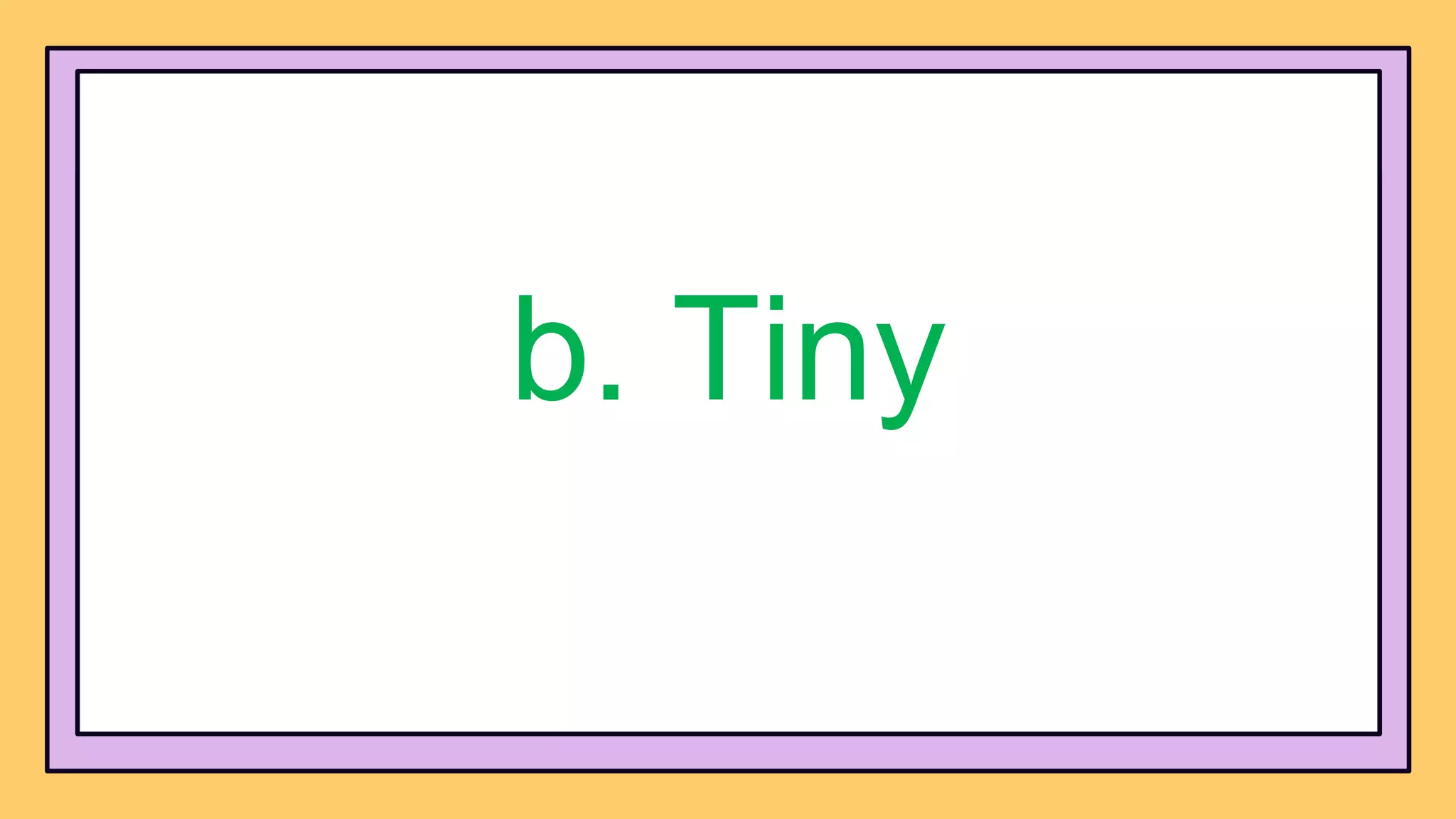b. Tiny
 