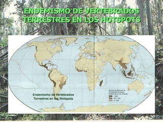 ENDEMISMO DE VERTEBRADOS
TERRESTRES EN LOS HOTSPOTS
 