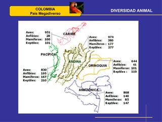 COLOMBIA        DIVERSIDAD ANIMAL
País Megadiverso
 