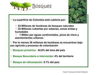  La superficie de Colombia está cubierta por:

     53 Millones de hectáreas de bosques naturales
     22 Millones cubiertas por sabanas, zonas áridas y
    humedales
     1 Millón por aguas continentales, picos de nieve y
    asentamientos urbanos.
 Por lo menos 38 millones de hectáreas se encuentran bajo
uso agrícola y procesos de colonización
 Bosques primarios: 44.8% del área del país

 Bosque Secundario o intervenido: 4% del territorio

 Bosque de reforestación: 0.1% del país


                                           Fuente: Fondo para la Acción Ambiental
 